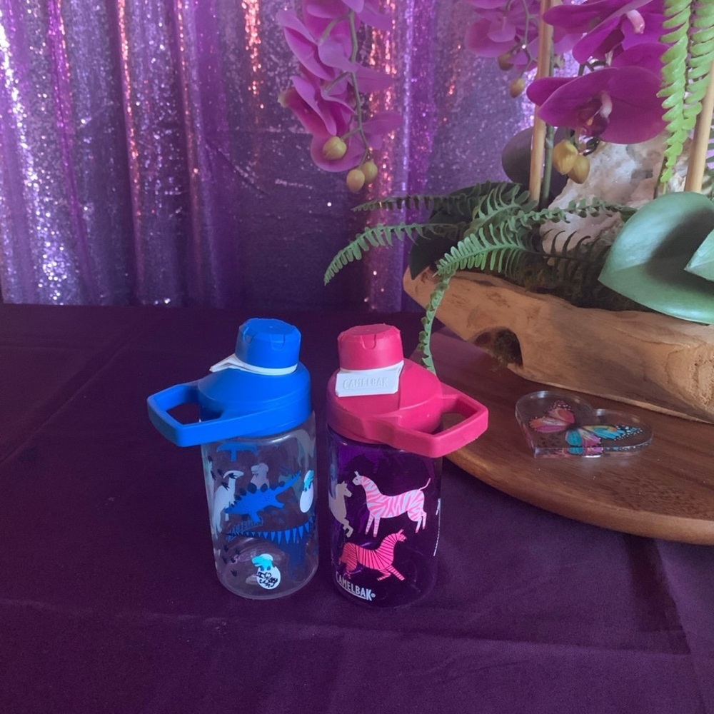 Camelbak Kids Water Bottles - Blue and Pink